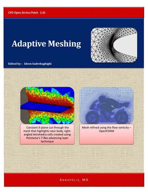 Torsion Test and Adaptive Mesh 